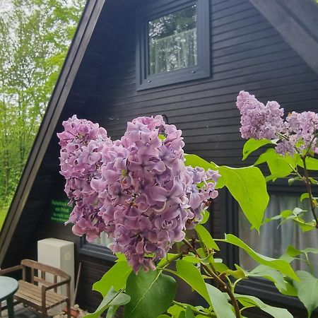 Ferienhaus Marie 125 Bad Arolsen Eksteriør billede